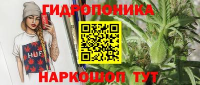 винт Донецк