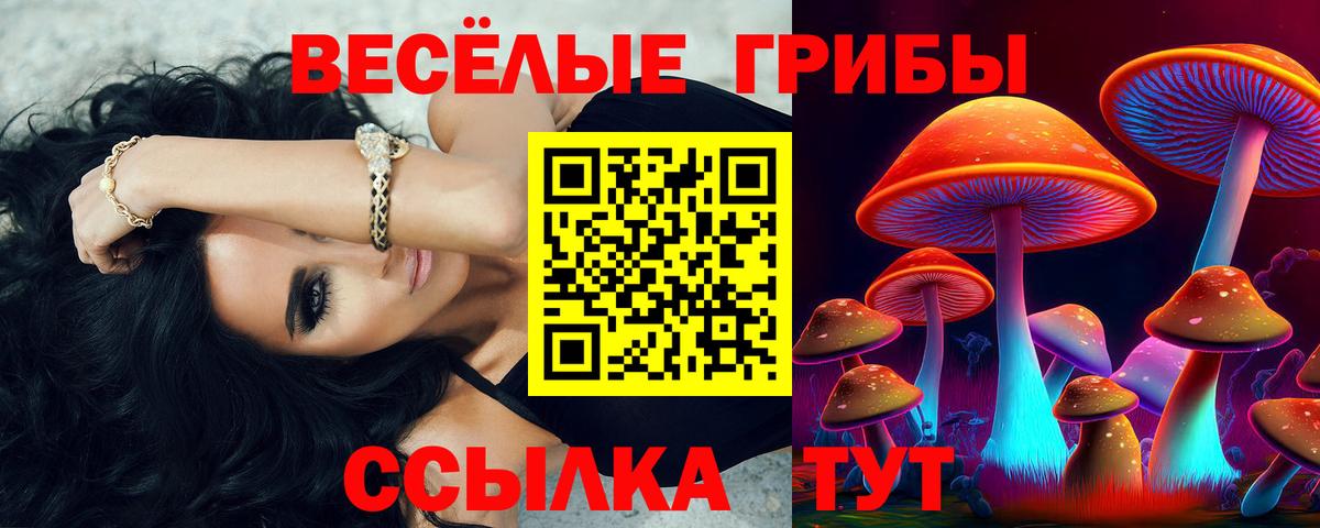 Урюпинск  Псилоцибиновые грибы Psilocybe  Вход с VPN 